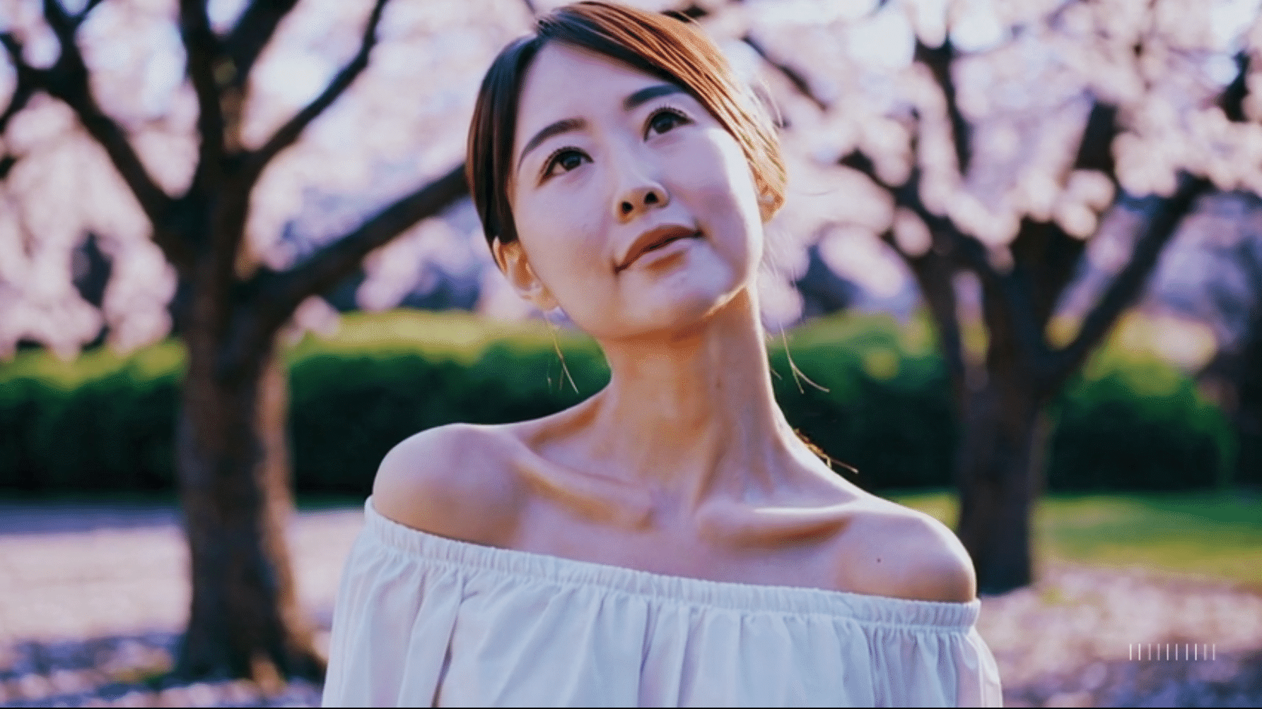 Soraのプロンプトに対する仮説