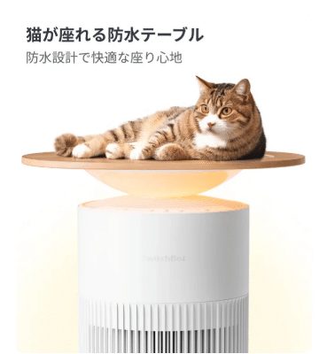 何これ?